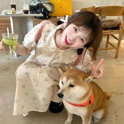 汪汪队立大功第二季